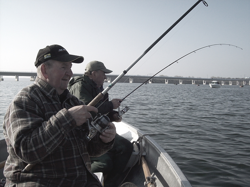 Killikus&reg; Fotographie